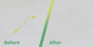 PAWS before and after demonstrated on carpet